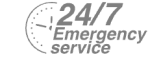 24/7 Emergency Service Pest Control in South Lambeth, SW8. Call Now! 020 8166 9746